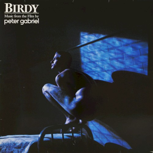 Birdy by Peter Gabriel