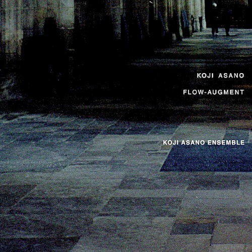 Flow-Augment by Koji Asano