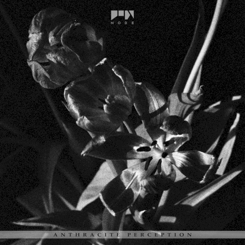 Anthracite Perception by Various