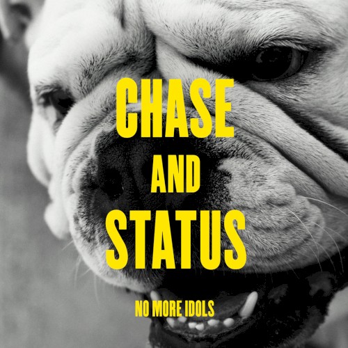 No More Idols by Chase & Status