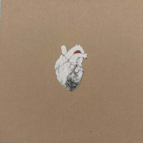 The Beggar by Swans