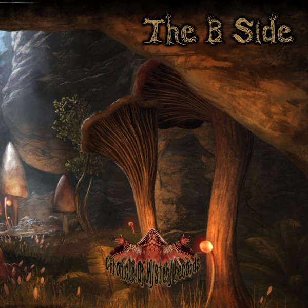 The B Side by Various