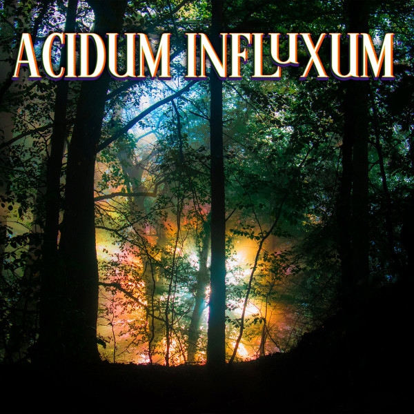 Acidum Influxum by Various