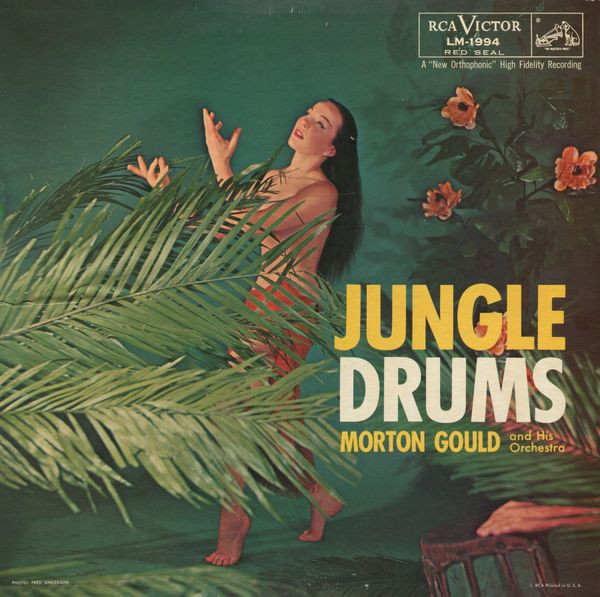 Jungle Drums by Morton Gould And His Orchestra