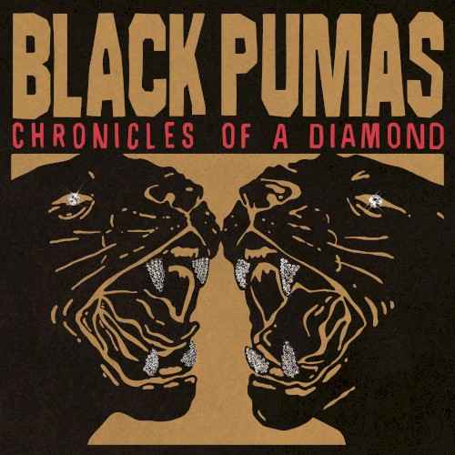 Chronicles Of A Diamond by Black Pumas
