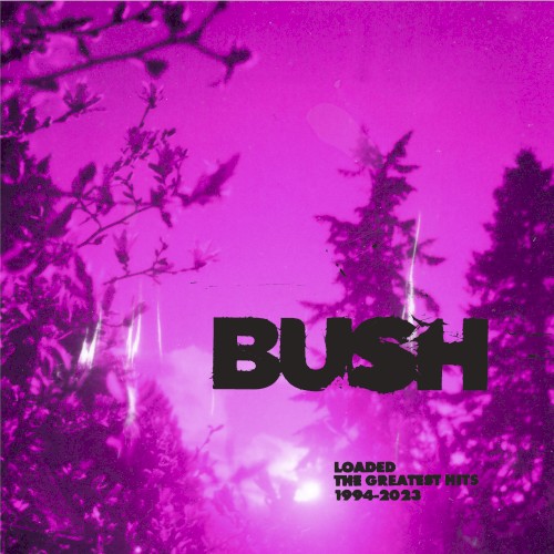 Loaded: The Greatest Hits 1994-2023 by Bush physical vinyl pressing cover artwork on VinVibe