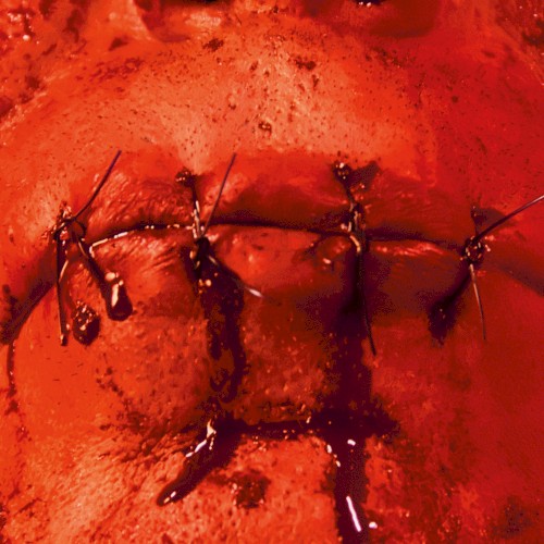 Zunge by Till Lindemann