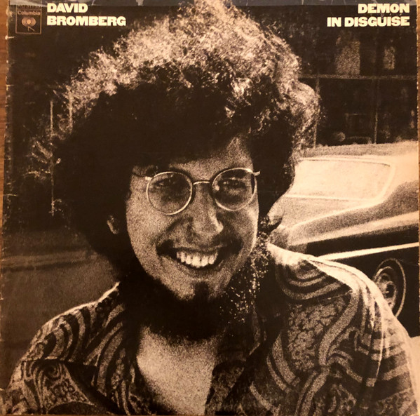 Demon In Disguise by David Bromberg