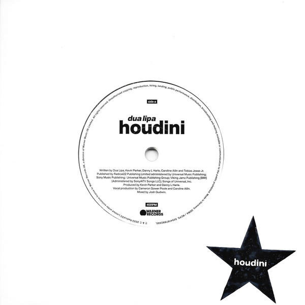 Houdini by Dua Lipa physical vinyl pressing cover artwork on VinVibe
