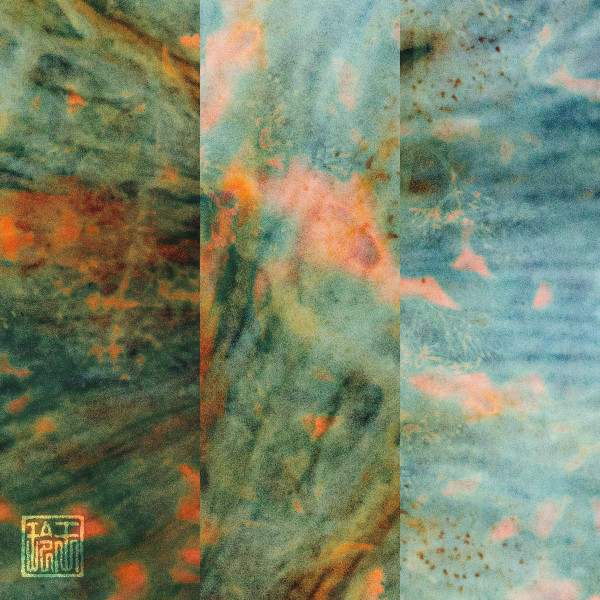 Synaptic Paths by Polygonia