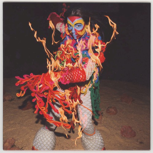 Earth Intruders by Björk