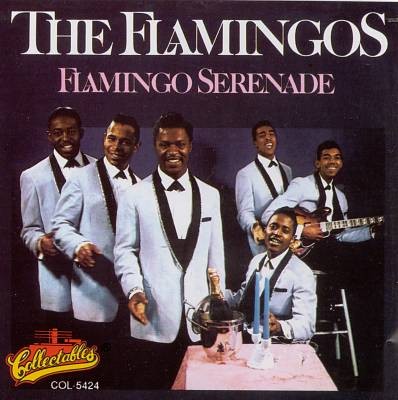 Flamingo Serenade by The Flamingos
