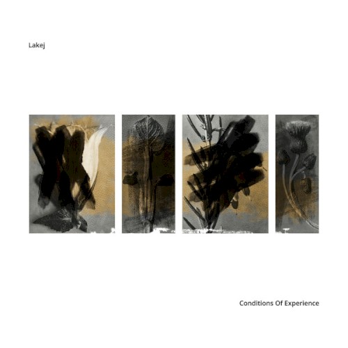 Conditions Of Experience by Lakej