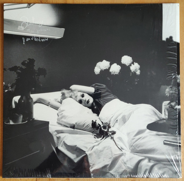I Am A Bird Now by Antony And The Johnsons