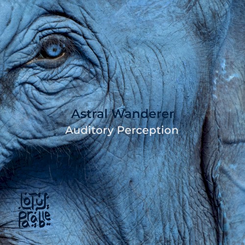 Auditory Perception by Astral Wanderer