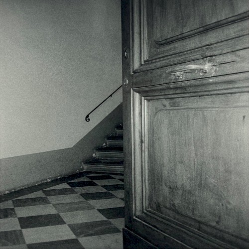 The Moth by Cancer House