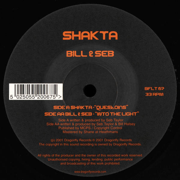 Questions / Into The Light by Shakta