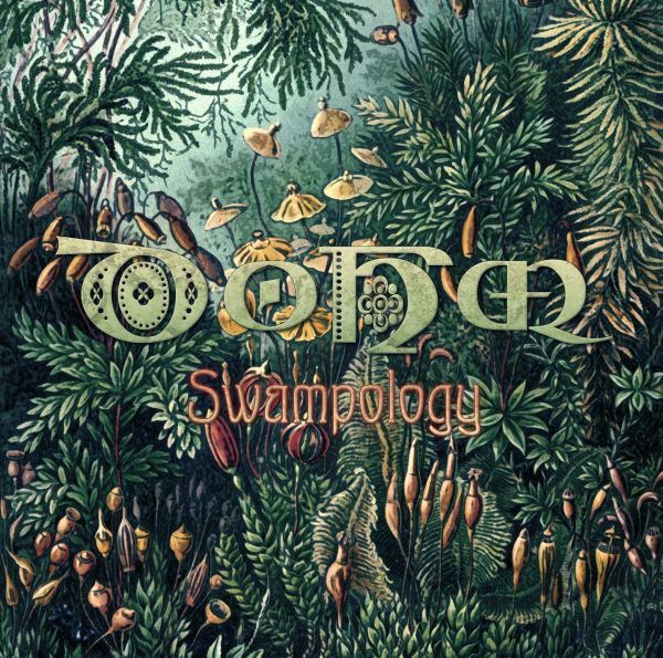 Swampology by Dohm