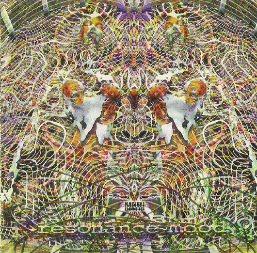 Resonance Mood by Various