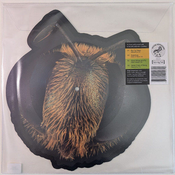 Big Fig Wasp by King Gizzard And The Lizard Wizard