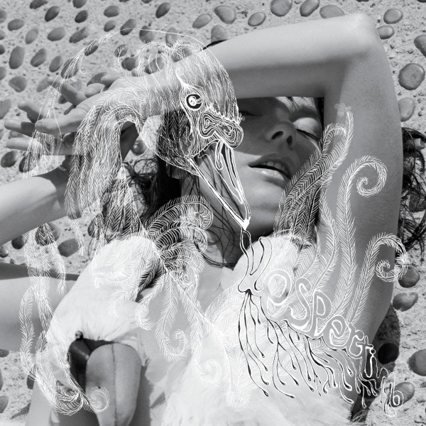Vespertine by Björk