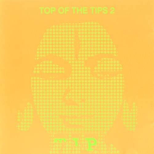 Top Of The Tips 2 by Various