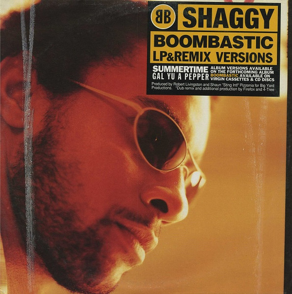 Boombastic / Summer Time by Shaggy