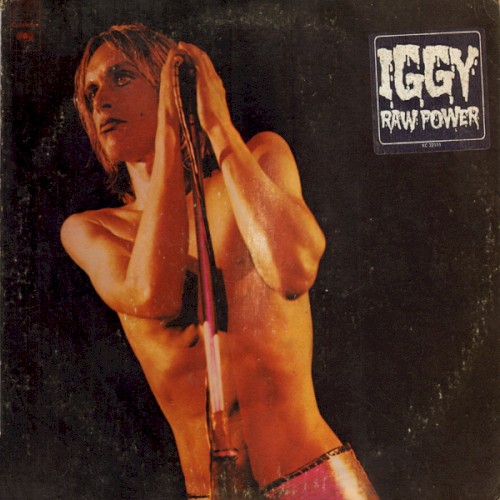 Raw Power by The Stooges