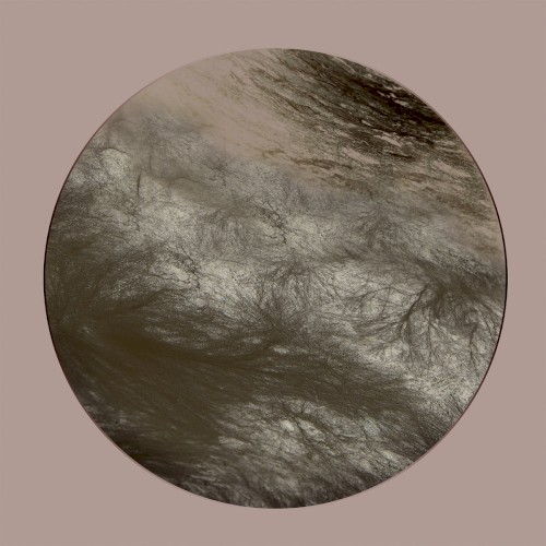 Flesh Of The Gods Remixes by Ness