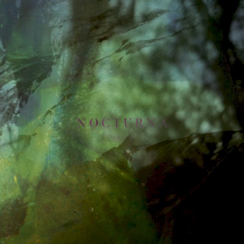 Nocturna by Joachim Spieth