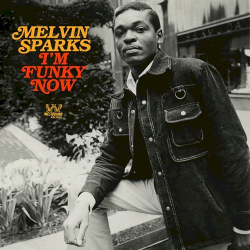 I'm Funky Now by Melvin Sparks