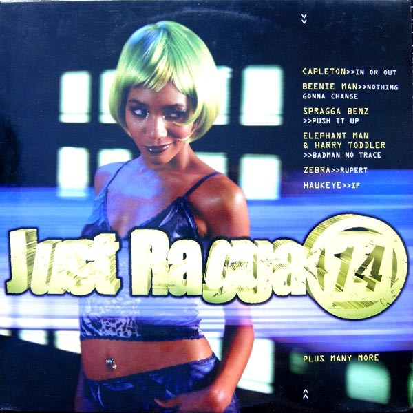Just Ragga 14 by Various