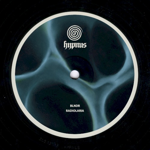 Radiolaria by BLNDR