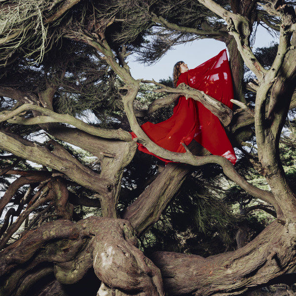 Nested In Tangles by Hannah Frances