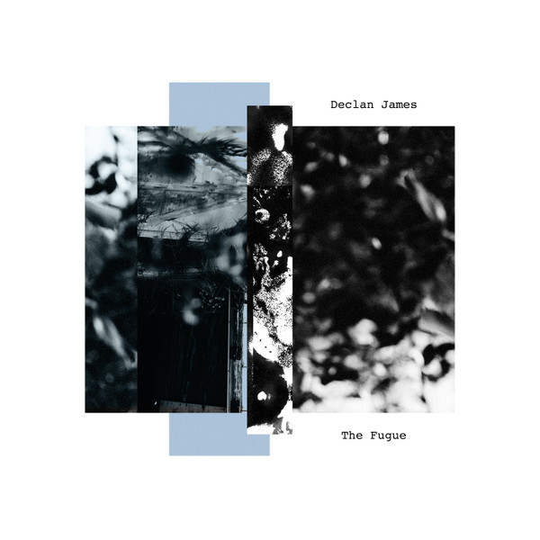 The Fugue by Declan James