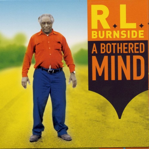 A Bothered Mind by R.L. Burnside