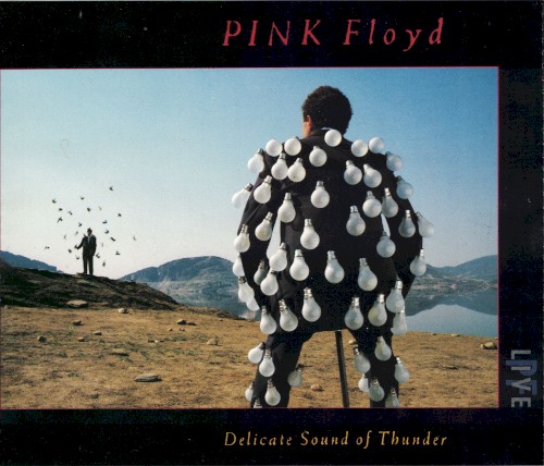 Delicate Sound Of Thunder by Pink Floyd