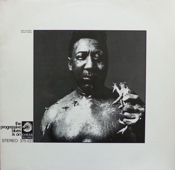 After The Rain by Muddy Waters
