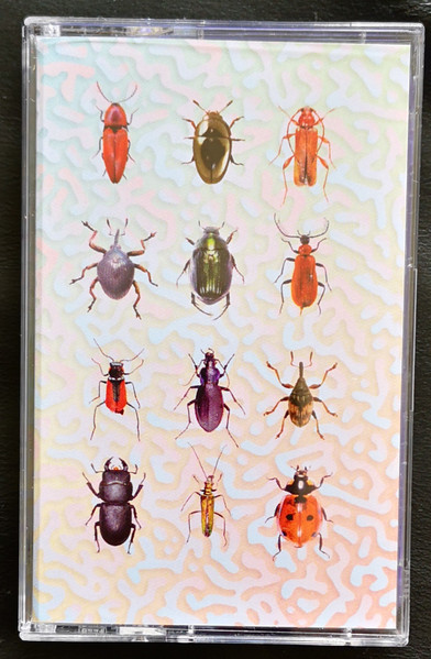 Beetles by Carnedd Aur