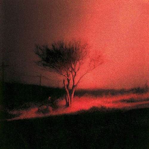 Piss In The Wind by Joji