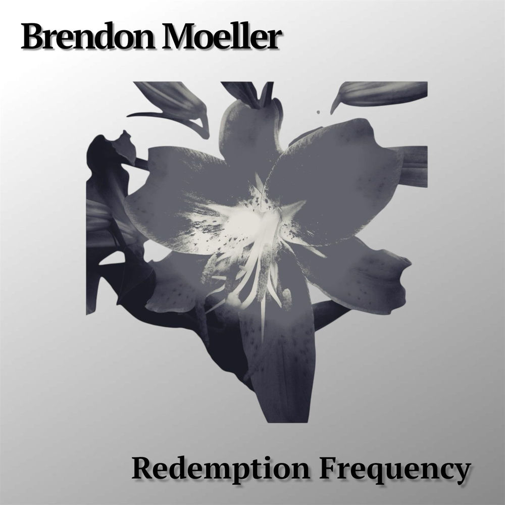 Redemption Frequency by Brendon Moeller