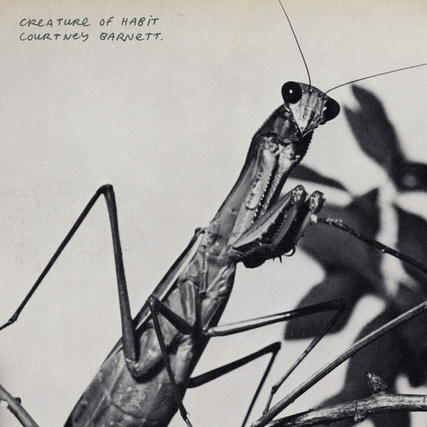Creature Of Habit by Courtney Barnett