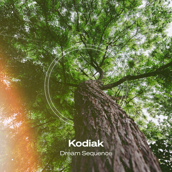 Dream Sequence by Kodiak