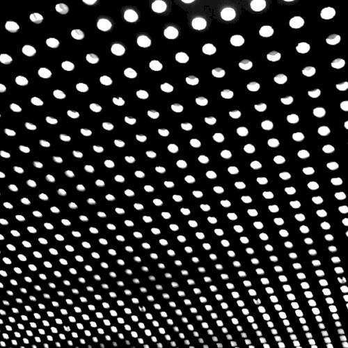 Bloom by Beach House
