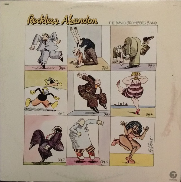 Reckless Abandon by David Bromberg Band