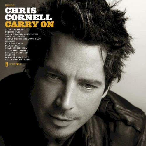 Carry On by Chris Cornell physical vinyl pressing cover artwork on VinVibe