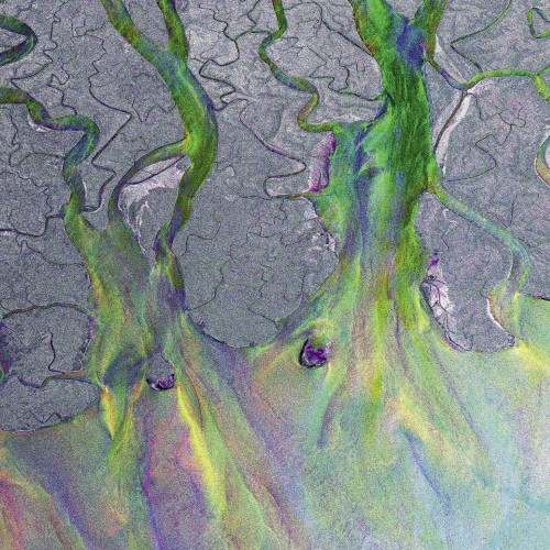 An Awesome Wave by Alt-J