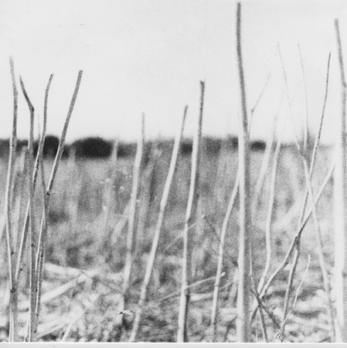 On Acid by Recondite