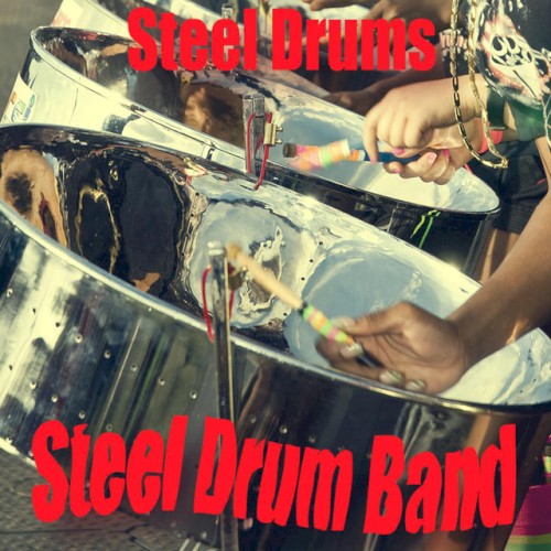Steel Drums by The Native Steel Drum Band