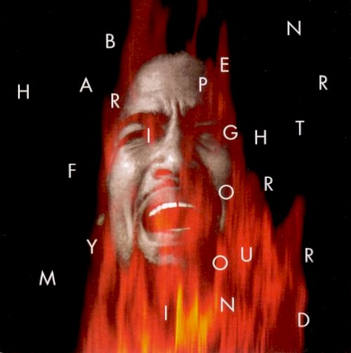 Fight For Your Mind by Ben Harper